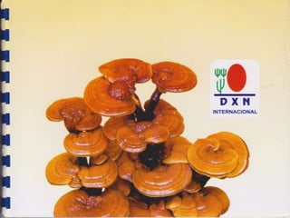 Guia de consumo ganoderma