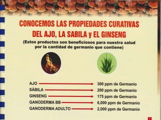 Guia de consumo ganoderma