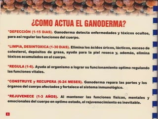Guia de consumo ganoderma