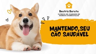 MANTENDO SEU
CÃO SAUDÁVEL
Beatriz Barata
CLÍNICA DE CUIDADO DE
ANIMAIS DOMÉSTICOS
 