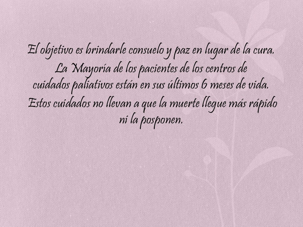 Guia de cuidados paliativos