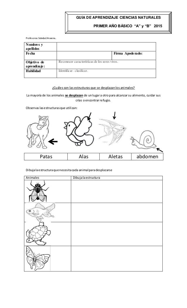 Guia de desplazamiento de los animales