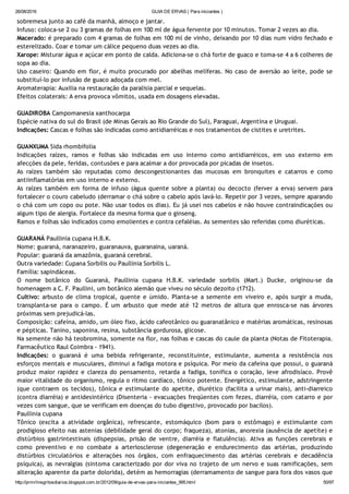 26/08/2016 GUIA DE ERVAS ( Para iniciantes )
http://prmrlinsgritosdiarios.blogspot.com.br/2012/09/guia­de­ervas­para­iniciantes_995.html 50/97
sobremesa junto ao café da manhã, almoço e jantar.
Infuso: coloca‐se 2 ou 3 gramas de folhas em 100 ml de água fervente por 10 minutos. Tomar 2 vezes ao dia.
Macerado: é preparado com 4 gramas de folhas em 100 ml de vinho, deixando por 10 dias num vidro fechado e
esterelizado. Coar e tomar um cálice pequeno duas vezes ao dia.
Xarope: Misturar água e açúcar em ponto de calda. Adiciona‐se o chá forte de guaco e toma‐se 4 a 6 colheres de
sopa ao dia.
Uso caseiro: Quando em flor, é muito procurado por abelhas melíferas. No caso de aversão ao leite, pode se
substituí‐lo por infusão de guaco adoçada com mel.
Aromaterapia: Auxilia na restauração da paralisia parcial e sequelas.
Efeitos colaterais: A erva provoca vômitos, usada em dosagens elevadas.
GUADIROBA Campomanesia xanthocarpa
Espécie nativa do sul do Brasil (de Minas Gerais ao Rio Grande do Sul), Paraguai, Argentina e Uruguai.
Indicações: Cascas e folhas são indicadas como antidiarréicas e nos tratamentos de cistites e uretrites.
GUANXUMA Sida rhombifolia
Indicações raízes, ramos e folhas são indicadas em uso interno como antidiarréicos, em uso externo em
afecções da pele, feridas, contusões e para acalmar a dor provocada por picadas de insetos.
As raízes também são reputadas como descongestionantes das mucosas em bronquites e catarros e como
antiinflamatórias em uso interno e externo.
As raízes também em forma de infuso (água quente sobre a planta) ou decocto (ferver a erva) servem para
fortalecer o couro cabeludo (derramar o chá sobre o cabelo após lavá‐lo. Repetir por 3 vezes, sempre aparando
o chá com um copo ou pote. Não usar todos os dias). Eu já usei nos cabelos e não houve contraindicações ou
algum tipo de alergia. Fortalece da mesma forma que o ginseng.
Ramos e folhas são indicados como emolientes e contra cefaléias. As sementes são referidas como diuréticas.
GUARANÁ Paullinia cupana H.B.K.
Nome: guaraná, naranazeiro, guaranauva, guaranaina, uaraná.
Popular: guaraná da amazônia, guaraná cerebral.
Outra variedade: Cupana Sorbilis ou Paullinia Sorbilis L.
Família: sapindáceas.
O nome botânico do Guaraná, Paullinia cupana H.B.K. variedade sorbilis (Mart.) Ducke, originou‐se da
homenagem a C. F. Paullini, um botânico alemão que viveu no século dezoito (1712).
Cultivo: arbusto de clima tropical, quente e úmido. Planta‐se a semente em viveiro e, após surgir a muda,
transplanta‐se para o campo. É um arbusto que mede até 12 metros de altura que enrosca‐se nas árvores
próximas sem prejudicá‐las.
Composição: cafeína, amido, um óleo fixo, ácido cafeotânico ou guaranatânico e matérias aromáticas, resinosas
e pépticas. Tanino, saponina, resina, substância gordurosa, glicose.
Na semente não há teobromina, somente na flor, nas folhas e cascas do caule da planta (Notas de Fitoterapia.
Farmacêutico Raul Coimbra ‐ 1941).
Indicações: o guaraná é uma bebida refrigerante, reconstituinte, estimulante, aumenta a resistência nos
esforços mentais e musculares, diminui a fadiga motora e psíquica. Por meio da cafeína que possui, o guaraná
produz maior rapidez e clareza do pensamento, retarda a fadiga, tonifica o coração, leve afrodisíaco. Provê
maior vitalidade do organismo, regula o ritmo cardíaco, tônico potente. Energético, estimulante, adstringente
(que contraem os tecidos), tônica e estimulante do apetite, diurético (facilita a urinar mais), anti‐diarreico
(contra diarréia) e antidesintérico (Disenteria ‐ evacuações freqüentes com fezes, diarréia, com catarro e por
vezes com sangue, que se verificam em doenças do tubo digestivo, provocado por bacilos).
Paullinia cupana
Tônico (excita a atividade orgânica), refrescante, estomáquico (bom para o estômago) e estimulante com
prodigioso efeito nas astenias (debilidade geral do corpo; fraqueza), atonias, anorexia (ausência de apetite) e
distúrbios gastrintestinais (dispepsias, prisão de ventre, diarréia e flatulência). Ativa as funções cerebrais e
como preventivo e no combate a arteriosclerose (degeneração e endurecimento das artérias, produzindo
distúrbios circulatórios e alterações nos órgãos, com enfraquecimento das artérias cerebrais e decadência
psíquica), as nevralgias (sintoma caracterizado por dor viva no trajeto de um nervo e suas ramificações, sem
alteração aparente da parte dolorida), detém as hemorragias (derramamento de sangue para fora dos vasos que
 