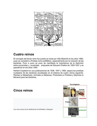 Cuatro reinos
El concepto del tercer reino fue puesto en duda por Otto Bütschli en los años 1880,
pues se consideró a Protista como polifilético, especialmente por la inclusión de las
bacterias. Poco a poco se puso de manifiesto la importancia de la distinción
entre procariotas y eucariotas propuesta de Edouard Chatton de 1925-1937 y se
popularizó en los años 1950.
Herbert Copeland en sus publicaciones de 1938, 1947 y 1956, separa los protistas
nucleados de las bacterias anucleadas en el sistema de cuatro reinos siguiente:
Plantae (o Metaphyta), Animalia (o Metazoa), Protoctista (o Protista) y Mychota (o
Monera) para las bacterias.
Cinco reinos
Los cinco reinos de la clasificación de Whittaker y Margulis
 