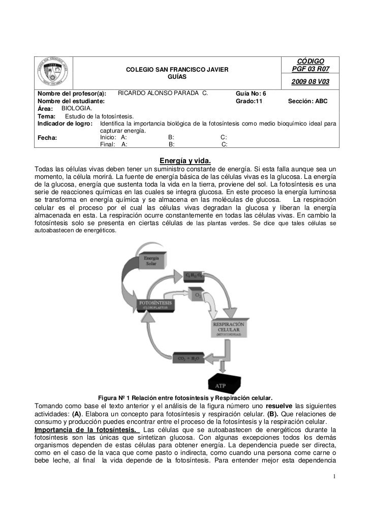 8.º grado sol english guía de estudio