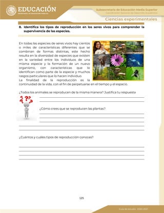 125
8. Identifica los tipos de reproducción en los seres vivos para comprender la
supervivencia de las especies.
En todas las especies de seres vivos hay cientos
o miles de características diferentes que se
combinan de formas distintas, este hecho
resulta en la diversidad de especies que existen
en la variedad entre los individuos de una
misma especie y la formación de un nuevo
organismo, con características que lo
identifican como parte de la especie y muchos
rasgos particulares que lo hacen individuo.
La finalidad de la reproducción es la
continuidad de la vida, con el fin de perpetuarse en el tiempo y el espacio.
¿Todos los animales se reproducen de la misma manera? Justifica tu respuesta
_______________________________________________________________________
_______________________________________________________________________
¿Cómo crees que se reproducen las plantas?
_______________________________________________________________________
_______________________________________________________________________
_______________________________________________________________________
_____________________________________________________________________________________
_____________________________________________________________________________________
¿Cuántos y cuáles tipos de reproducción conoces?
_____________________________________________________________________________________
_____________________________________________________________________________________
_____________________________________________________________________________________
_____________________________________________________________________________________
 