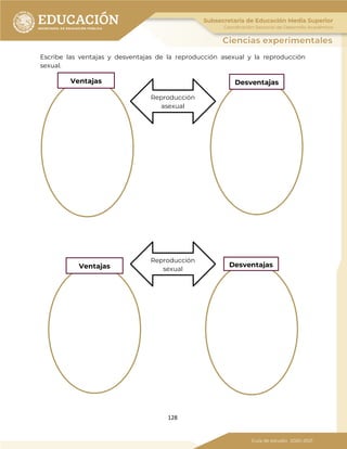128
Escribe las ventajas y desventajas de la reproducción asexual y la reproducción
sexual.
Ventajas Desventajas
Ventajas Desventajas
Reproducción
sexual
Reproducción
asexual
 