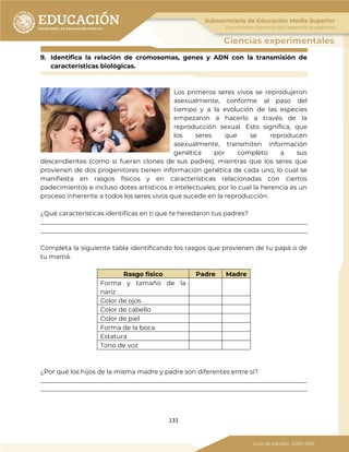 131
9. Identifica la relación de cromosomas, genes y ADN con la transmisión de
características biológicas.
Los primeros seres vivos se reprodujeron
asexualmente, conforme al paso del
tiempo y a la evolución de las especies
empezaron a hacerlo a través de la
reproducción sexual. Esto significa, que
los seres que se reproducen
asexualmente, transmiten información
genética por completo a sus
descendientes (como si fueran clones de sus padres), mientras que los seres que
provienen de dos progenitores tienen información genética de cada uno, lo cual se
manifiesta en rasgos físicos y en características relacionadas con ciertos
padecimientos e incluso dotes artísticos e intelectuales; por lo cual la herencia es un
proceso inherente a todos los seres vivos que sucede en la reproducción.
¿Qué características identificas en ti que te heredaron tus padres?
_____________________________________________________________________________________
_____________________________________________________________________________________
Completa la siguiente tabla identificando los rasgos que provienen de tu papá o de
tu mamá.
Rasgo físico Padre Madre
Forma y tamaño de la
nariz
Color de ojos
Color de cabello
Color de piel
Forma de la boca
Estatura
Tono de voz
¿Por qué los hijos de la misma madre y padre son diferentes entre sí?
_____________________________________________________________________________________
_____________________________________________________________________________________
 