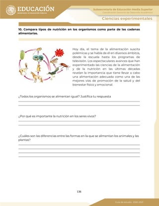 136
10. Compara tipos de nutrición en los organismos como parte de las cadenas
alimentarias.
Hoy día, el tema de la alimentación suscita
polémicas y se habla de él en diversos ámbitos,
desde la escuela hasta los programas de
televisión. Los espectaculares avances que han
experimentado las ciencias de la alimentación
y de la nutrición en las últimas décadas
revelan la importancia que tiene llevar a cabo
una alimentación adecuada como una de las
mejores vías de promoción de la salud y del
bienestar físico y emocional.
¿Todos los organismos se alimentan igual? Justifica tu respuesta
_____________________________________________________________________________________
_____________________________________________________________________________________
¿Por qué es importante la nutrición en los seres vivos?
_____________________________________________________________________________________
_____________________________________________________________________________________
¿Cuáles son las diferencias entre las formas en la que se alimentan los animales y las
plantas?
_____________________________________________________________________________________
_____________________________________________________________________________________
_____________________________________________________________________________________
_____________________________________________________________________________________
 