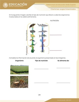 139
En la siguiente imagen, escribe el tipo de nutrición que llevan a cabo los organismos
involucrados en la cadena alimentaria.
Completa la información de acuerdo al organismo presentado en las imágenes.
Organismo Tipo de nutrición Se alimenta de:
____________________
___________________
____________________ ___________________
 
