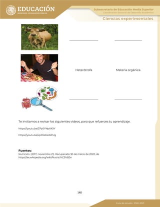 140
____________________ ___________________
Heterótrofa Materia orgánica
____________________ ___________________
Te invitamos a revisar los siguientes vídeos, para que refuerces tu aprendizaje.
https://youtu.be/ZPyEYNpAXXY
https://youtu.be/vpXNAJe2WUg
Fuentes:
Nutrición. (2017, noviembre 21). Recuperado 30 de marzo de 2020, de
https://es.wikipedia.org/wiki/Nutrici%C3%B3n
 