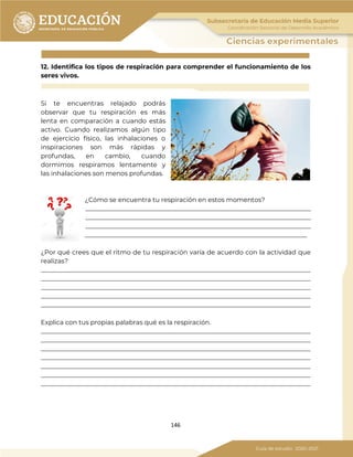 146
12. Identifica los tipos de respiración para comprender el funcionamiento de los
seres vivos.
Si te encuentras relajado podrás
observar que tu respiración es más
lenta en comparación a cuando estás
activo. Cuando realizamos algún tipo
de ejercicio físico, las inhalaciones o
inspiraciones son más rápidas y
profundas, en cambio, cuando
dormimos respiramos lentamente y
las inhalaciones son menos profundas.
¿Cómo se encuentra tu respiración en estos momentos?
_______________________________________________________________________
_______________________________________________________________________
_______________________________________________________________________
______________________________________________________________________
¿Por qué crees que el ritmo de tu respiración varía de acuerdo con la actividad que
realizas?
_____________________________________________________________________________________
_____________________________________________________________________________________
_____________________________________________________________________________________
_____________________________________________________________________________________
_____________________________________________________________________________________
Explica con tus propias palabras qué es la respiración.
_____________________________________________________________________________________
_____________________________________________________________________________________
_____________________________________________________________________________________
_____________________________________________________________________________________
_____________________________________________________________________________________
_____________________________________________________________________________________
_____________________________________________________________________________________
 