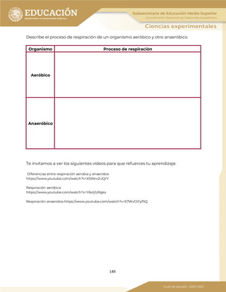 149
Describe el proceso de respiración de un organismo aeróbico y otro anaeróbico.
Organismo Proceso de respiración
Aeróbico
Anaeróbico
Te invitamos a ver los siguientes vídeos para que refuerces tu aprendizaje.
Diferencias entre respiración aerobia y anaerobia
https://www.youtube.com/watch?v=X5tNrv2UQrY
Respiración aeróbica
https://www.youtube.com/watch?v=Y6vtj1zRgks
Respiración anaerobia https://www.youtube.com/watch?v=57WvCtFyfSQ
 