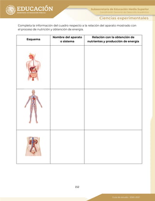 152
Completa la información del cuadro respecto a la relación del aparato mostrado con
el proceso de nutrición y obtención de energía.
Esquema
Nombre del aparato
o sistema
Relación con la obtención de
nutrientes y producción de energía
 