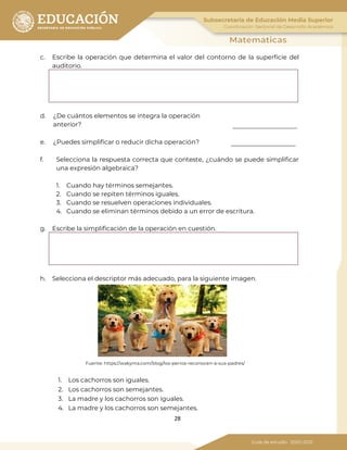 28
c. Escribe la operación que determina el valor del contorno de la superficie del
auditorio.
d. ¿De cuántos elementos se integra la operación
anterior?
e. ¿Puedes simplificar o reducir dicha operación?
f. Selecciona la respuesta correcta que conteste, ¿cuándo se puede simplificar
una expresión algebraica?
1. Cuando hay términos semejantes.
2. Cuando se repiten términos iguales.
3. Cuando se resuelven operaciones individuales.
4. Cuando se eliminan términos debido a un error de escritura.
g. Escribe la simplificación de la operación en cuestión.
h. Selecciona el descriptor más adecuado, para la siguiente imagen.
Fuente: https://wakyma.com/blog/los-perros-reconocen-a-sus-padres/
1. Los cachorros son iguales.
2. Los cachorros son semejantes.
3. La madre y los cachorros son iguales.
4. La madre y los cachorros son semejantes.
 