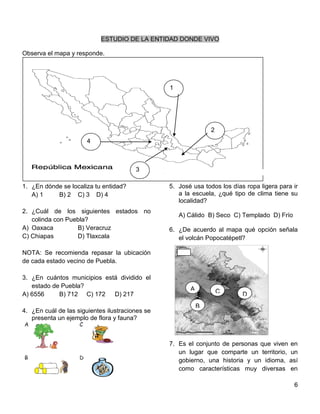 6
ESTUDIO DE LA ENTIDAD DONDE VIVO
Observa el mapa y responde.
1. ¿En dónde se localiza tu entidad?
A) 1 B) 2 C) 3 D) 4
2. ¿Cuál de los siguientes estados no
colinda con Puebla?
A) Oaxaca B) Veracruz
C) Chiapas D) Tlaxcala
NOTA: Se recomienda repasar la ubicación
de cada estado vecino de Puebla.
3. ¿En cuántos municipios está dividido el
estado de Puebla?
A) 6556 B) 712 C) 172 D) 217
4. ¿En cuál de las siguientes ilustraciones se
presenta un ejemplo de flora y fauna?
5. José usa todos los días ropa ligera para ir
a la escuela, ¿qué tipo de clima tiene su
localidad?
A) Cálido B) Seco C) Templado D) Frío
6. ¿De acuerdo al mapa qué opción señala
el volcán Popocatépetl?
7. Es el conjunto de personas que viven en
un lugar que comparte un territorio, un
gobierno, una historia y un idioma, así
como características muy diversas en
A
4
3
1
2
B
C D
 