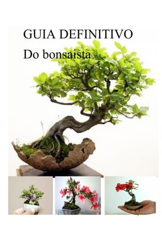 1
GUIA DEFINITIVO
Do bonsaista
 