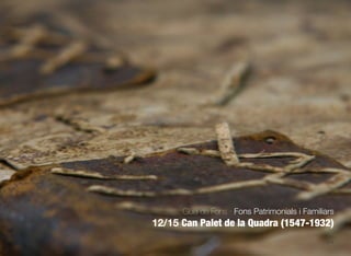 518
Guia de Fons · Fons Patrimonials i Familiars
12/15 Can Palet de la Quadra (1547-1932)
 