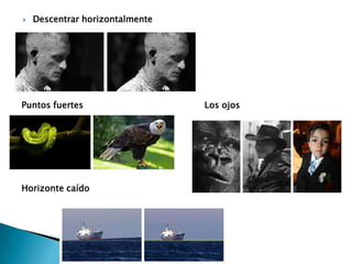 Descentrar horizontalmentePuntos fuertes Los ojos Horizonte caído 