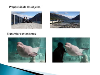 Proporción de los objetos Transmitir sentimientos 