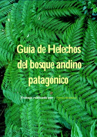 Guía de Helechos
del bosque andino
patagónico
Trabajo realizado por : Tomas Bobbera
 