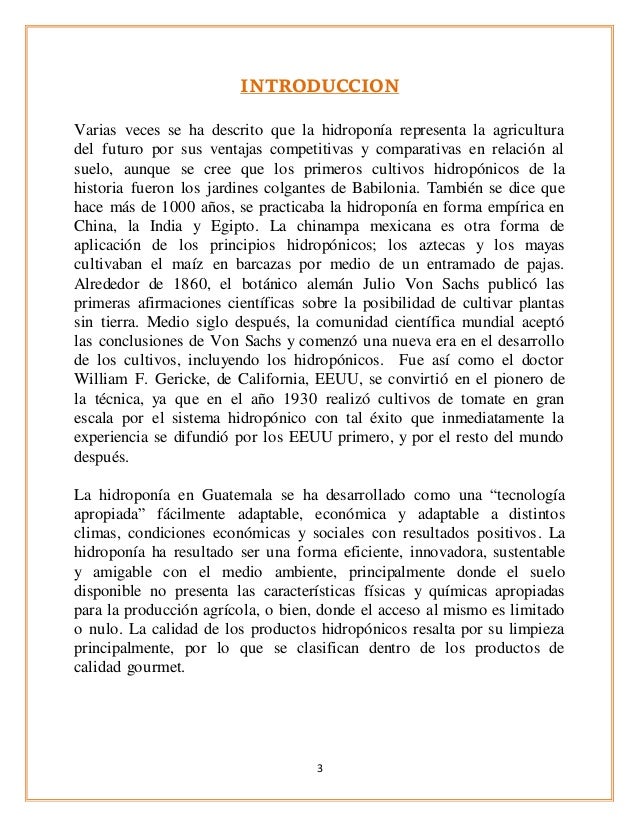Hidroponia Descripcin De Exito Noticiero 1 Youtube Hidroponia Descripcin De Exito Noticiero 1 Youtube
