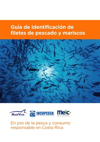 Guía de identificación de
filetes de pescado y mariscos
En pro de la pesca y consumo
responsable en Costa Rica
 