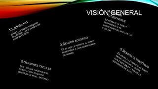 VISIÓN GENERAL 
 