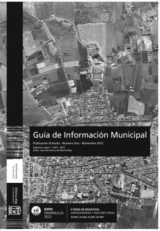 Guia de informacion municipal