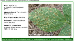 MoA: Inibição da
protoporfirinogênio oxidase
(PPO)
Grupo químico: Éter difenílico /
Difeniléteres
Ingrediente ativo: lactofen
Sintomas: bronzeamento de
folhas, necrose
Produtos comerciais:
Acilatem, Brado, Drible, Lactofen
AGP 240 EC, Naja
Foto: Marcelo Gripa Madalosso
13
Licensed to Joao Gilberto Alves Villela - jgvillela13@yahoo.com.br - HP01015958851886
 