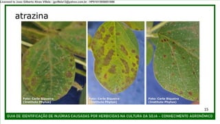 atrazina
Foto: Carla Siqueira
(Instituto Phytus)
Foto: Carla Siqueira
(Instituto Phytus)
Foto: Carla Siqueira
(Instituto Phytus)
15
Licensed to Joao Gilberto Alves Villela - jgvillela13@yahoo.com.br - HP01015958851886
 