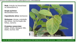 MoA: Inibição da fotossíntese
no fotossistema II
Grupo químico:
Benzotiadiazinona
Ingrediente ativo: bentazona
Sintomas: clorose, ondulação
das folhas, mal formação das
folhas, nanismo
Produtos comerciais:
Adifac, Amplo, Basagran 480,
Doble, Gunner, Volt
Foto: Carla Siqueira (Instituto Phytus)
16
Licensed to Joao Gilberto Alves Villela - jgvillela13@yahoo.com.br - HP01015958851886
 