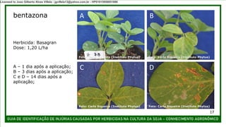 bentazona A B
C D
A – 1 dia após a aplicação;
B – 3 dias após a aplicação;
C e D – 14 dias após a
aplicação;
Herbicida: Basagran
Dose: 1,20 L/ha
Foto: Carla Siqueira (Instituto Phytus) Foto: Carla Siqueira (Instituto Phytus)
Foto: Carla Siqueira (Instituto Phytus) Foto: Carla Siqueira (Instituto Phytus)
17
Licensed to Joao Gilberto Alves Villela - jgvillela13@yahoo.com.br - HP01015958851886
 