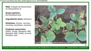 MoA: Inibição da fotossíntese
no fotossistema II
Grupo químico:
Benzotiadiazinona
Ingrediente ativo: bentazon
Sintomas: clorose, necrose,
manchas necróticas, nanismo
Produtos comerciais:
Adifac, Amplo, Basagran 480,
Basagran 600, Doble, Gunner,
Pramato, Volt
Foto: Kassim Al-Khatib (Universidade da Califórnia, Davis)
23
Licensed to Joao Gilberto Alves Villela - jgvillela13@yahoo.com.br - HP01015958851886
 