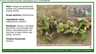 MoA: Inibição da acetolactato
sintase ALS (acetohidroxiácido
sintase AHAS)
Grupo químico: Sulfonilureia
Ingrediente ativo:
halossulfuron-metilico
Sintomas: clorose, ondulação
das folhas, mal formação das
folhas, avermelhamento nas
nervuras no lado inferior das
folhas, nanismo
Produto Comercial:
Sempra
Foto: Kassim Al-Khatib (Universidade da Califórnia, Davis)
24
Licensed to Joao Gilberto Alves Villela - jgvillela13@yahoo.com.br - HP01015958851886
 
