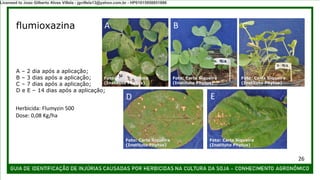 Herbicida: Flumyzin 500
Dose: 0,08 Kg/ha
A – 2 dia após a aplicação;
B – 3 dias após a aplicação;
C – 7 dias após a aplicação;
D e E – 14 dias após a aplicação;
A B C
D E
flumioxazina
Foto: Carla Siqueira
(Instituto Phytus)
Foto: Carla Siqueira
(Instituto Phytus)
Foto: Carla Siqueira
(Instituto Phytus)
Foto: Carla Siqueira
(Instituto Phytus)
Foto: Carla Siqueira
(Instituto Phytus)
26
Licensed to Joao Gilberto Alves Villela - jgvillela13@yahoo.com.br - HP01015958851886
 
