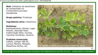 MoA: Inibidores da biossíntese
de carotenoides na
4-hidroxifenil-piruvato-
dioxigenase
Grupo químico: Tricetonas
Ingrediente ativo: mesotriona
Sintomas:
branqueamento, clorose, rugas
foliares, distorção foliar,
malformação foliar, necrose,
manchas necróticas, nanismo
Produtos comerciais:
Callisto, Lamper 480 EC,
Lumica, Meristo, Mesopec,
Mesotriona Nortox, etc Foto: Kassim Al-Khatib (Universidade da Califórnia, Davis)
27
Licensed to Joao Gilberto Alves Villela - jgvillela13@yahoo.com.br - HP01015958851886
 