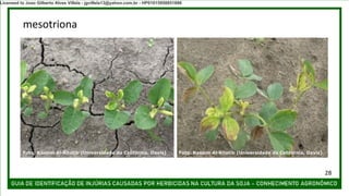 mesotriona
Foto: Kassim Al-Khatib (Universidade da Califórnia, Davis) Foto: Kassim Al-Khatib (Universidade da Califórnia, Davis)
28
Licensed to Joao Gilberto Alves Villela - jgvillela13@yahoo.com.br - HP01015958851886
 