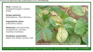 MoA: Inibição da
protoporfirinogênio oxidase
(PPO)
Grupo químico:
Difeniléteres / Éter-difenílico
Ingrediente ativo:
acifluorfem-sódico
Sintomas: bronzeamento,
enrugamento, necrose,
manchas necróticas
Produtos comerciais:
Blazer Sol, Doble, Gunner, Volt
Foto: Kassim Al-Khatib (Universidade da Califórnia, Davis)
29
Licensed to Joao Gilberto Alves Villela - jgvillela13@yahoo.com.br - HP01015958851886
 