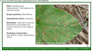 MoA: Inibidores do
fotossistema I (formadores de
radicais livres)
Grupo químico: Bipiridíliuns
Ingrediente ativo: paraquat
Sintomas: manchas circulares,
facilmente confundido com
mancha olho-de-rã em alguns
casos
Produtos comerciais:
Flak 200 SL, Orbit, Paramaster,
Tocha
32
Foto: Marcelo Gripa Madalosso
Licensed to Joao Gilberto Alves Villela - jgvillela13@yahoo.com.br - HP01015958851886
 