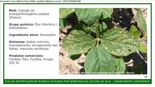 MoA: Inibição da
protoporfirinogênio oxidase
(Protox)
Grupo químico: Éter difenílico /
Difeniléteres
Ingrediente ativo: fomesafem
Sintomas: lesões marrons,
bronzeamento, enrugamento das
folhas, manchas necróticas
Produtos comerciais:
Cardeal, Flex, Fusiflex, Krugar
250 SL
34
Foto: Kassim Al-Khatib (Universidade da Califórnia, Davis)
Licensed to Joao Gilberto Alves Villela - jgvillela13@yahoo.com.br - HP01015958851886
 