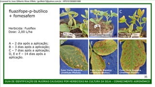 fluazifope-p-butílico
+ fomesafem
A – 2 dia após a aplicação;
B – 3 dias após a aplicação;
C – 7 dias após a aplicação;
D, E e F – 14 dias após a
aplicação.
Herbicida: Fusiflex
Dose: 2,00 L/ha
A B C
D E F
Foto: Carla Siqueira
(Instituto Phytus)
Foto: Carla Siqueira
(Instituto Phytus)
Foto: Carla Siqueira
(Instituto Phytus)
Foto: Carla Siqueira
(Instituto Phytus)
Foto: Carla Siqueira
(Instituto Phytus)
Foto: Carla Siqueira
(Instituto Phytus)
35
Licensed to Joao Gilberto Alves Villela - jgvillela13@yahoo.com.br - HP01015958851886
 