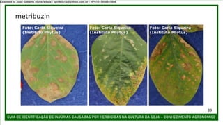 Foto: Carla Siqueira
(Instituto Phytus)
metribuzin
Foto: Carla Siqueira
(Instituto Phytus)
Foto: Carla Siqueira
(Instituto Phytus)
39
Licensed to Joao Gilberto Alves Villela - jgvillela13@yahoo.com.br - HP01015958851886
 