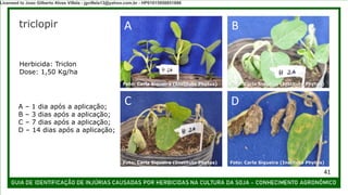 triclopir A B
C D
A – 1 dia após a aplicação;
B – 3 dias após a aplicação;
C – 7 dias após a aplicação;
D – 14 dias após a aplicação;
Herbicida: Triclon
Dose: 1,50 Kg/ha
Foto: Carla Siqueira (Instituto Phytus)
Foto: Carla Siqueira (Instituto Phytus)
Foto: Carla Siqueira (Instituto Phytus)
Foto: Carla Siqueira (Instituto Phytus)
41
Licensed to Joao Gilberto Alves Villela - jgvillela13@yahoo.com.br - HP01015958851886
 