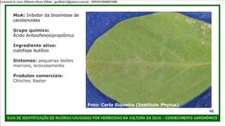 MoA: Inibidor da biosíntese de
carotenoides
Grupo químico:
Ácido Ariloxifenoxipropiônico
Ingrediente ativo:
cialofope butílico
Sintomas: pequenas lesões
marrons, bronzeamento
Produtos comerciais:
Clincher, Raster
Foto: Carla Siqueira (Instituto Phytus)
48
Licensed to Joao Gilberto Alves Villela - jgvillela13@yahoo.com.br - HP01015958851886
 