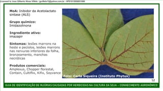 MoA: Inibidor da Acetolactato
sintase (ALS)
Grupo químico:
Imidazolinona
Ingrediente ativo:
imazapir
Sintomas: lesões marrons na
heste e pecíolos, lesões marrons
nas nervuras inferiores da folha,
bronzeamento, manchas
necróticas
Produtos comerciais:
Amplexus, Chopper florestal,
Contain, Cultiflix, Kifix, Soyvance
Foto: Carla Siqueira (Instituto Phytus)
52
Licensed to Joao Gilberto Alves Villela - jgvillela13@yahoo.com.br - HP01015958851886
 