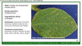 MoA: Inibidor da Acetolactato
sintase (ALS)
Grupo químico:
Imidazolinona
Ingrediente ativo:
imazetapir
Sintomas: pequenas manchas
marrons, lesões marrons nas
nervuras inferiores das folhas
Produtos comerciais:
Dinamaz 70 WG, Imazet 70 WG,
Only, Pivot 100 SL, Vezir, Zephir
Foto: Carla Siqueira (Instituto Phytus)
54
Licensed to Joao Gilberto Alves Villela - jgvillela13@yahoo.com.br - HP01015958851886
 