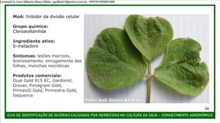 MoA: Inibidor da divisão celular
Grupo químico:
Cloroacetanilida
Ingrediente ativo:
S-metacloro
Sintomas: lesões marrons,
bronzeamento, enrugamento das
folhas, manchas necróticas
Produtos comerciais:
Dual Gold 915 EC, Gardomil,
Grover, Pimagram Gold,
PrimaizG Gold, Primestra Gold,
Sequence
Foto: Keli Souza da Silva
56
Licensed to Joao Gilberto Alves Villela - jgvillela13@yahoo.com.br - HP01015958851886
 