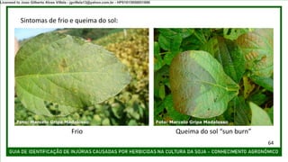 Sintomas de frio e queima do sol:
Frio Queima do sol “sun burn”
Foto: Marcelo Gripa Madalosso Foto: Marcelo Gripa Madalosso
64
Licensed to Joao Gilberto Alves Villela - jgvillela13@yahoo.com.br - HP01015958851886
 