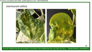 clorimurom-etílico
Foto: Roque de Carvalho Dias Foto: Roque de Carvalho Dias
08
Licensed to Joao Gilberto Alves Villela - jgvillela13@yahoo.com.br - HP01015958851886
 